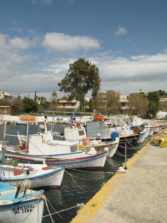 Stefanie Studios Aegina Luaran gambar