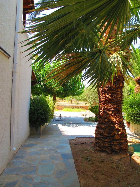 Stefanie Studios Aegina Luaran gambar